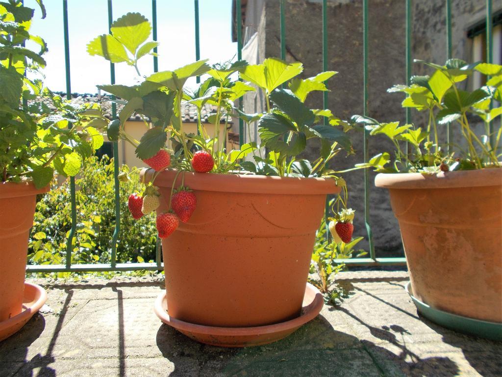 Casa Ginevra Villa Bagni di Lucca Kültér fotó